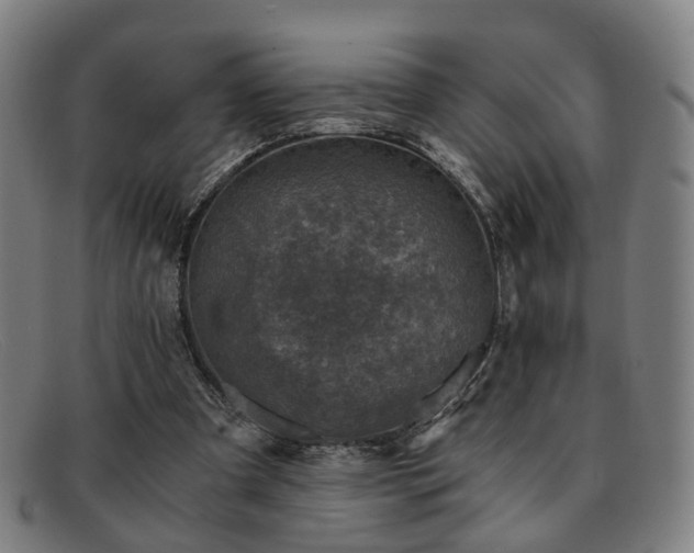 X0000091900297200709121504