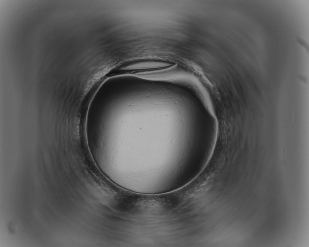 X0000091900299200709121504