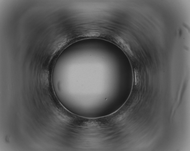 X0000091900300200709121504