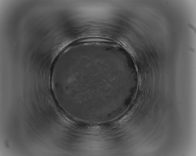 X0000091900301200709121504