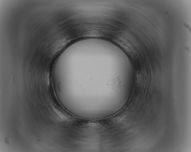 X0000091900302200709121504