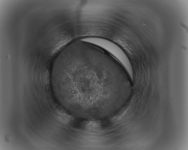 X0000091900303200709121504