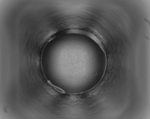 X0000091900305200709121504