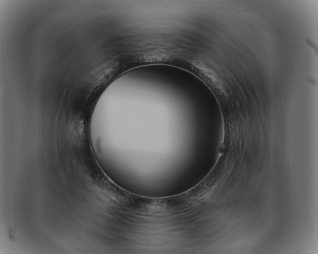 X0000091900308200709121503