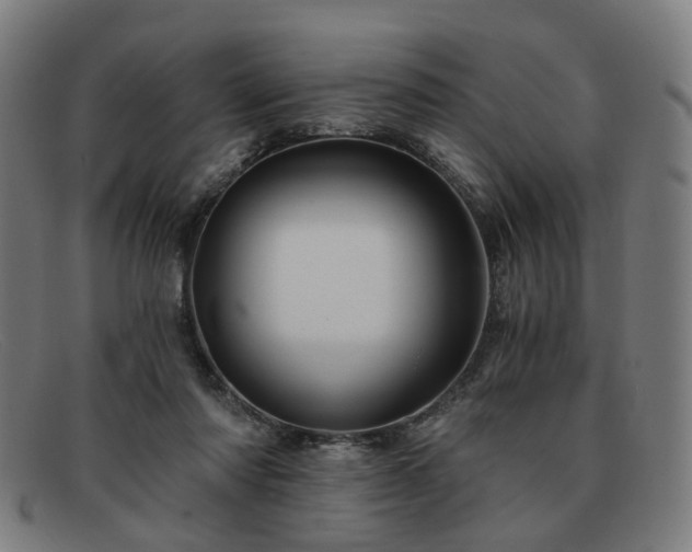 X0000091900310200709121503