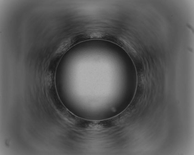 X0000091900311200709121503