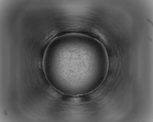 X0000091900313200709121503