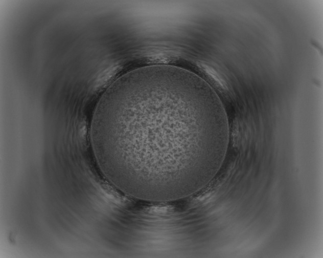 X0000091900314200709121503