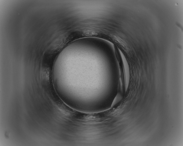 X0000091900315200709121503