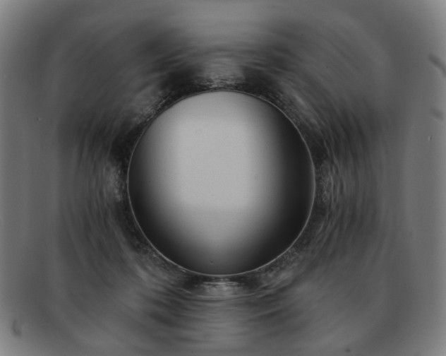 X0000091900316200709121503