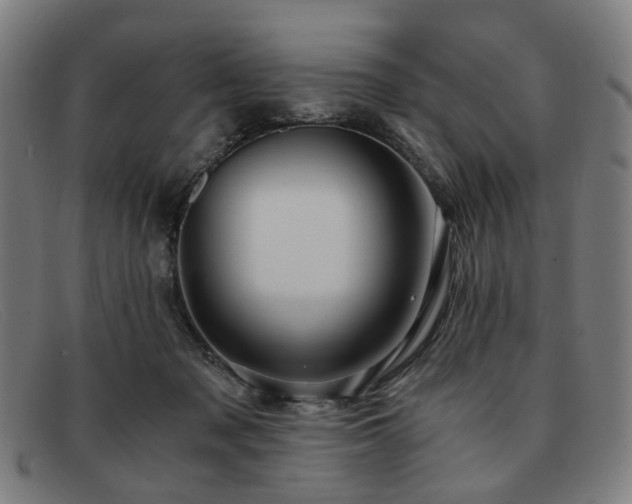 X0000091900317200709121503