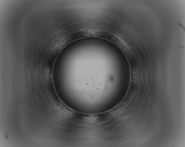 X0000091900318200709121503