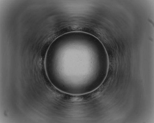 X0000091900319200709121503