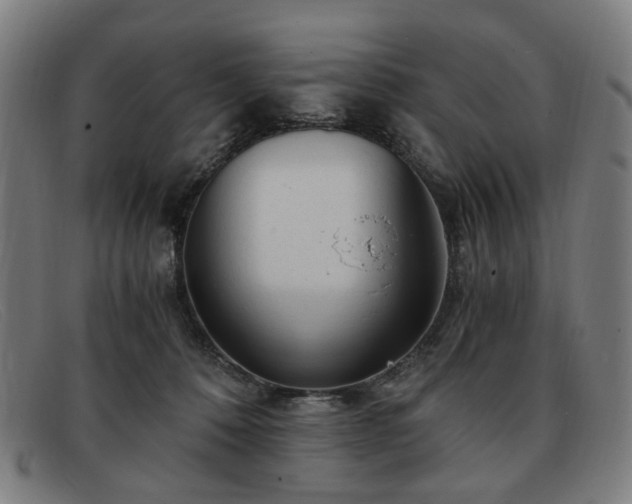 X0000091900320200709121503