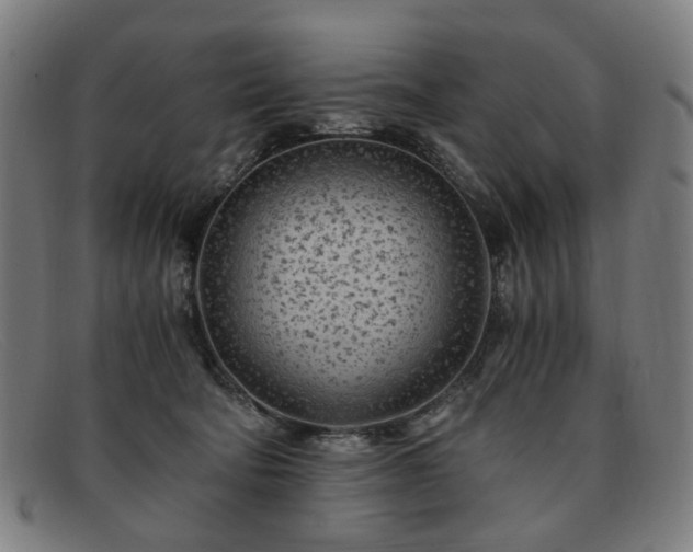 X0000091900322200709121503