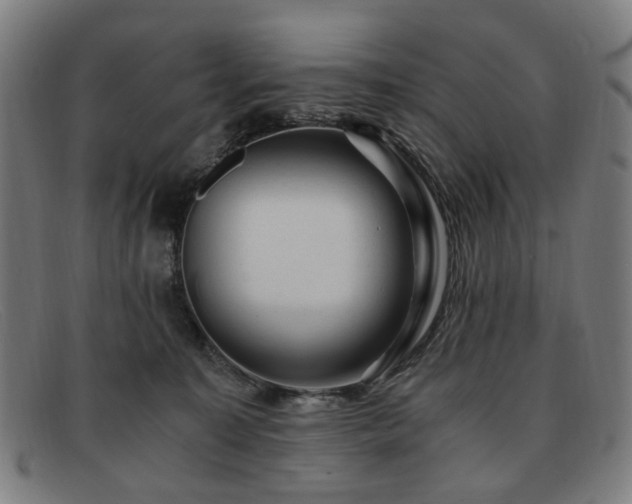 X0000091900323200709121503