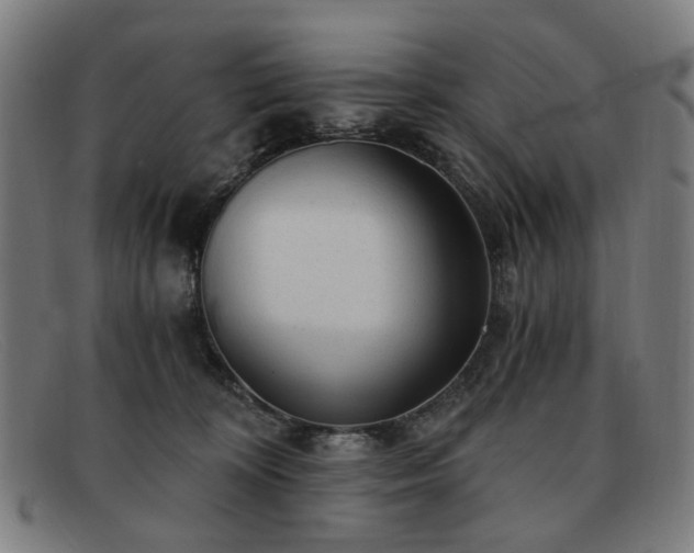 X0000091900324200709121503