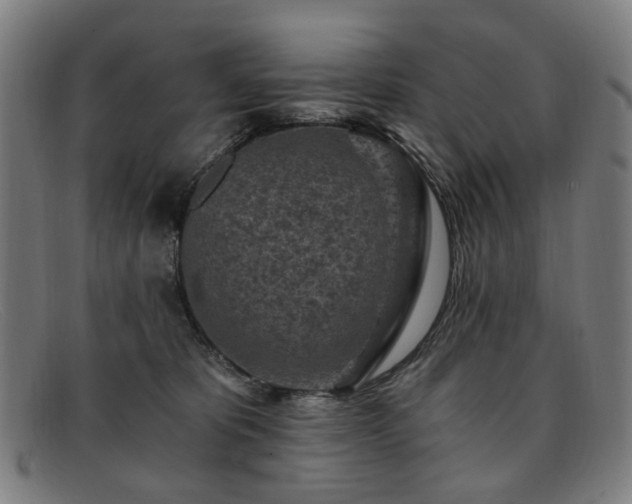 X0000091900325200709121503