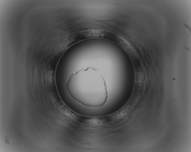 X0000091900326200709121503