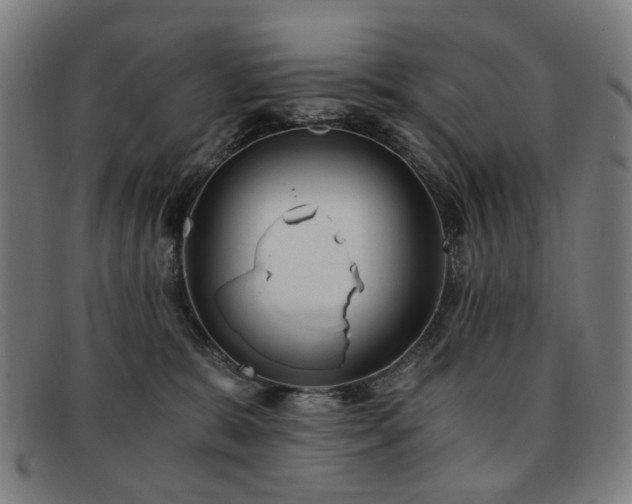 X0000091900327200709121503