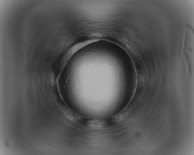 X0000091900331200709121503