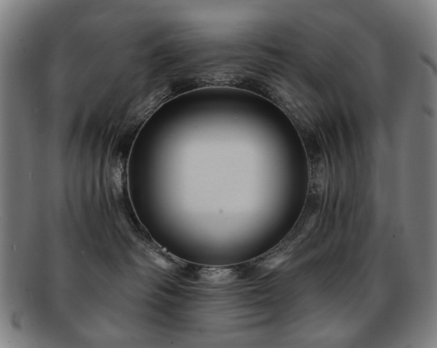 X0000091900334200709121503