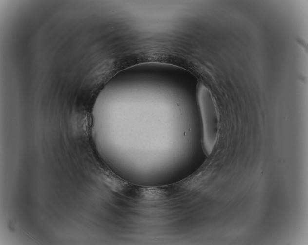 X0000091900336200709121503