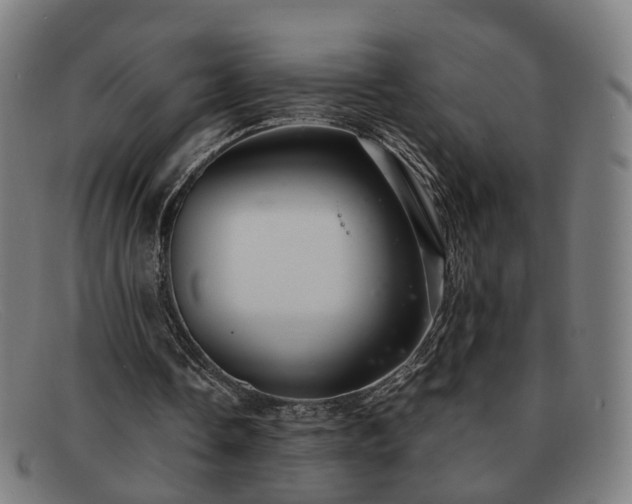 X0000091900338200709121503