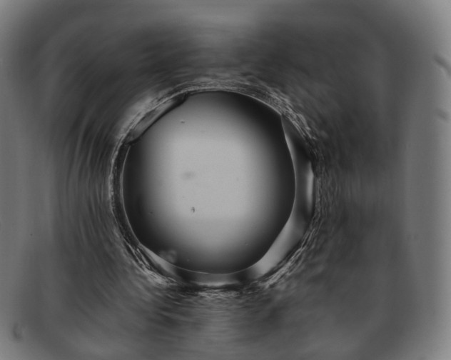 X0000091900340200709121503