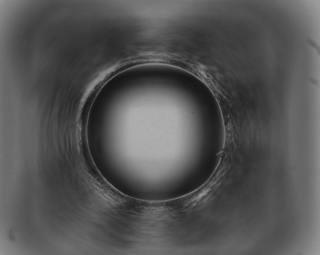 X0000091900342200709121503