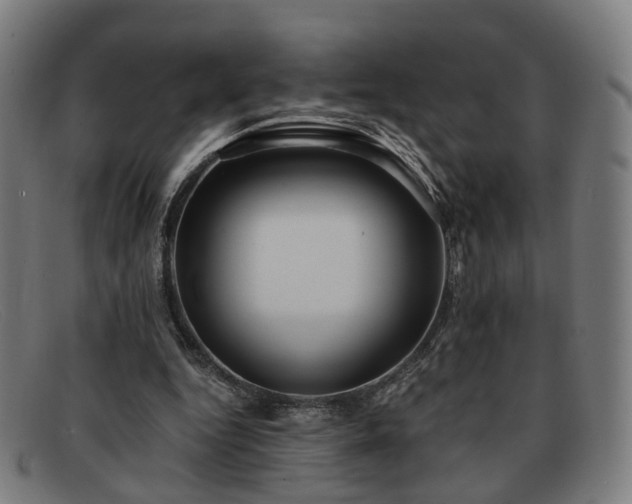 X0000091900344200709121503