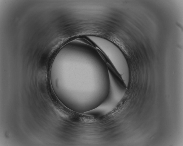 X0000091900348200709121503