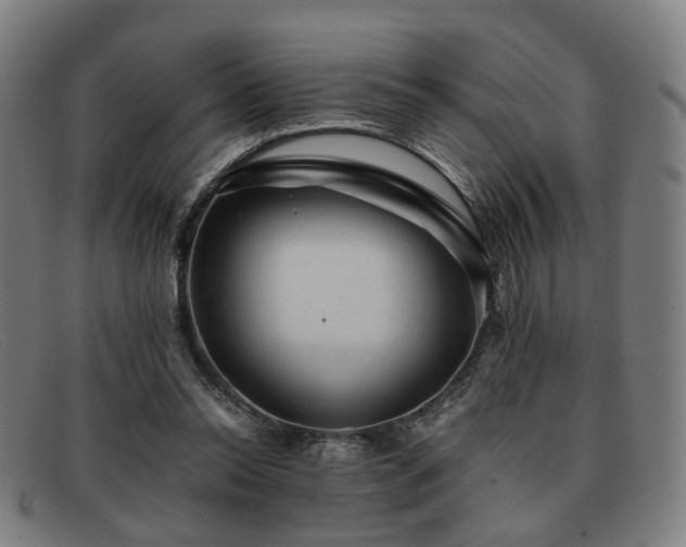 X0000091900350200709121503