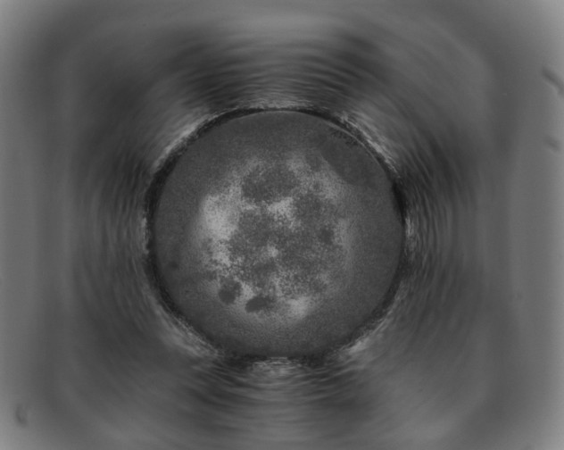 X0000091900351200709121503