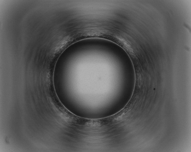 X0000091900354200709121503