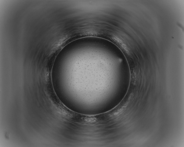 X0000091900355200709121503