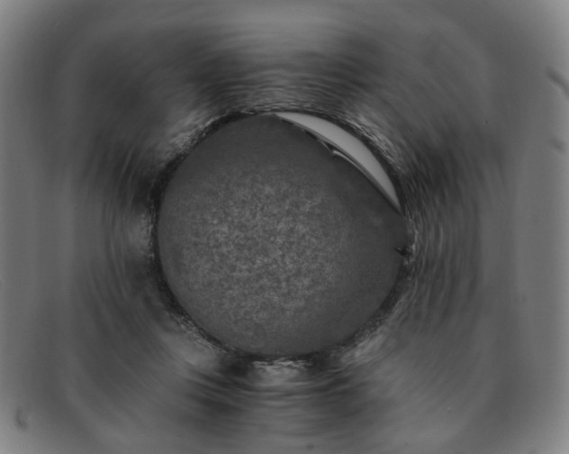 X0000091900359200709121503