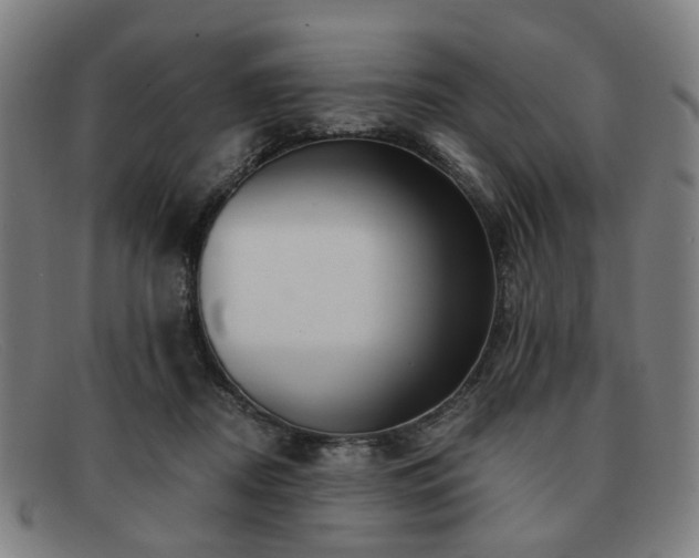 X0000091900362200709121503