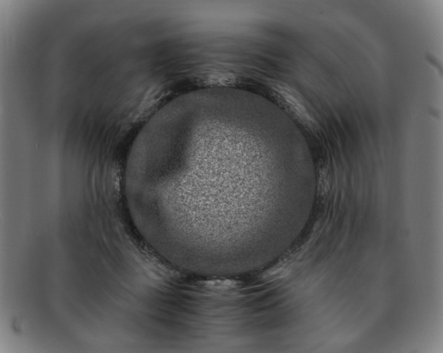 X0000091900363200709121503