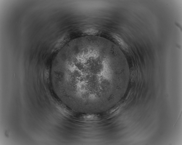 X0000091900365200709121503