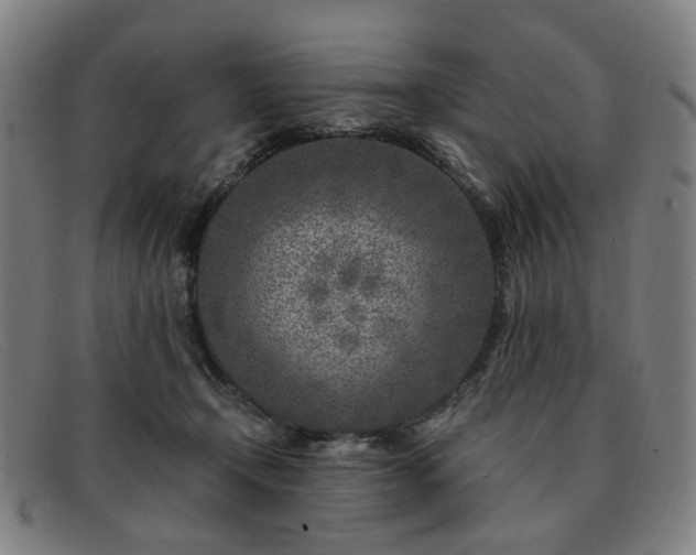 X0000091900366200709121503