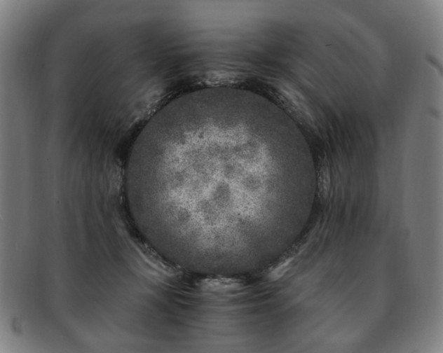 X0000091900367200709121503