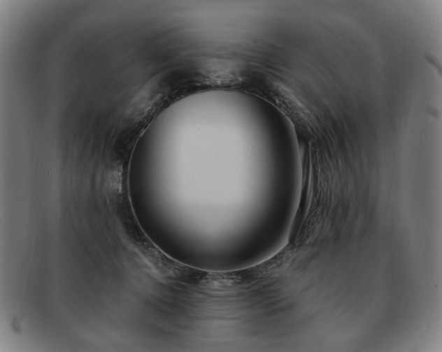 X0000091900368200709121503