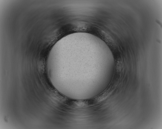 X0000091900370200709121503