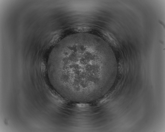 X0000091900371200709121503