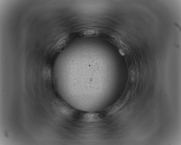 X0000091900375200709121503