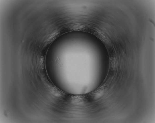 X0000091900378200709121503