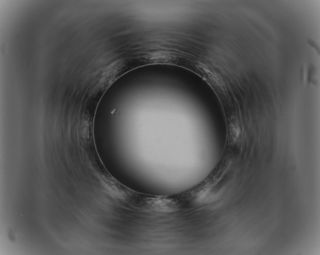 X0000091900379200709121503