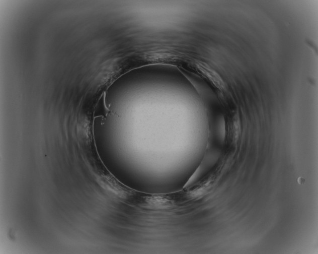 X0000091900380200709121503