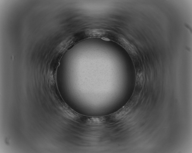 X0000091900381200709121503